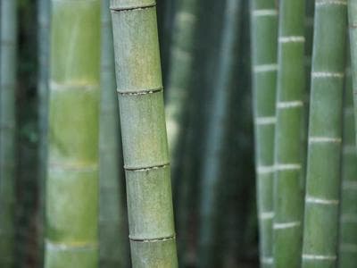 Uszczelka konstrukcyjna E-IZ050/34