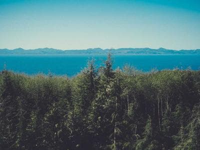 Uszczelka E-OSINA MAŁA/17