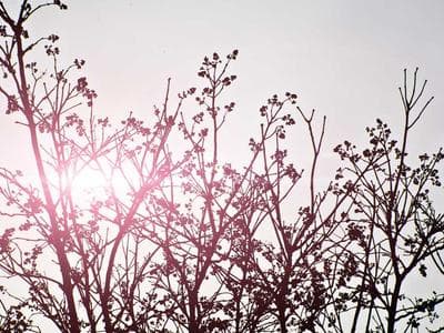 Uszczelka D-profil EPDM 9×7,5 mm