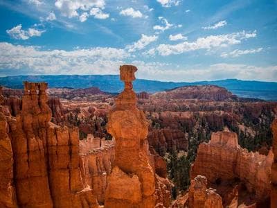 Uszczelka E-TN-02 międzyszybowa