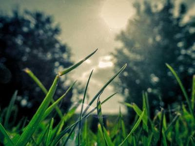 Profil E-TN-04 międzyszybowy